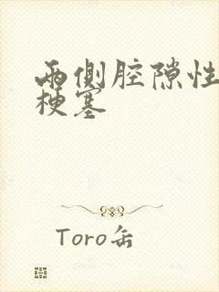 两侧腔隙性脑有梗塞