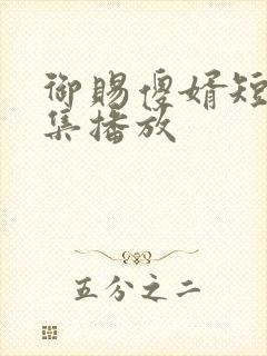 御赐傻婿短剧全集播放