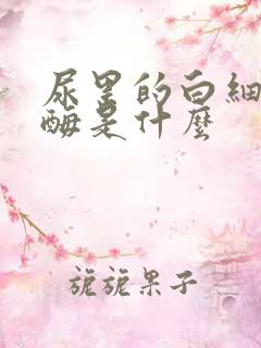 尿里的白细胞酯酶是什么