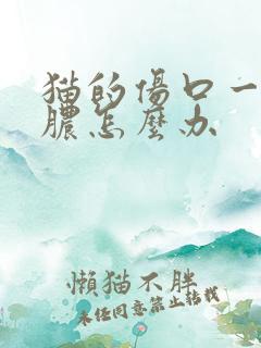 猫的伤口一直流脓怎么办