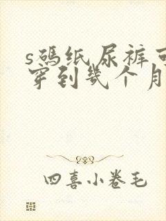 s码纸尿裤可以穿到几个月