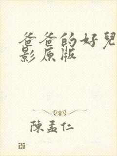 爸爸的好儿子电影原版