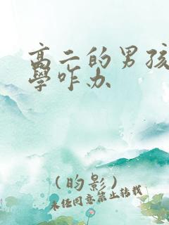 高二的男孩子厌学咋办