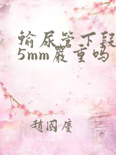 输尿管下段结石5mm严重吗