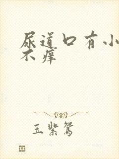 尿道口有小肉粒不痒