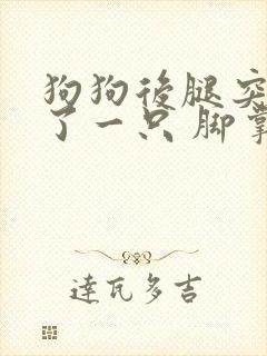 狗狗后腿突然瘸了一只 脚掌不落地