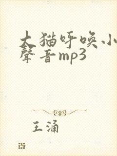 大猫呼唤小猫的声音mp3