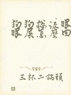 狗狗总流眼泪有眼屎怎么回事