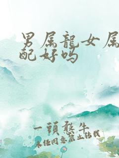 男属龙女属虎婚配好吗