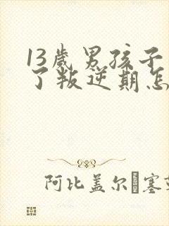 13岁男孩子到了叛逆期怎么教