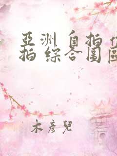 亚洲 自拍 偷拍 综合图区