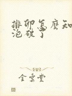 排卵怎么知道卵泡破了