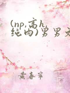 (np,高h,纯肉)男男文