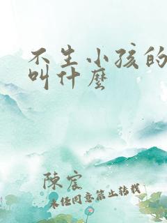 不生小孩的夫妻叫什么