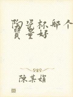 陶瓷杯哪个品牌质量好