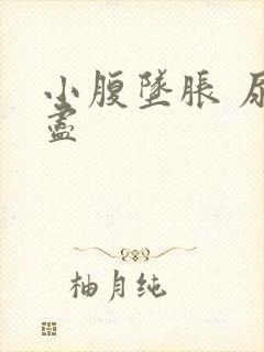 小腹坠胀 尿不尽