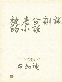 被老公训诫狠揍的小说