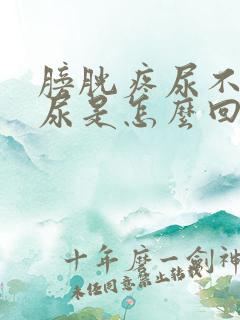 膀胱疼尿不出来尿是怎么回事