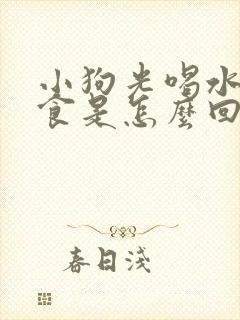 小狗光喝水不吃食是怎么回事?