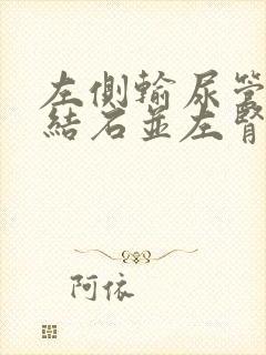 左侧输尿管下段结石并左肾轻度积液