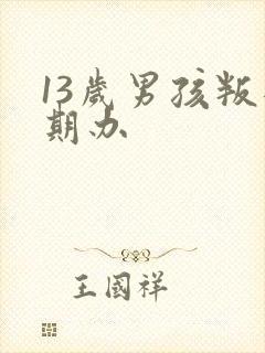 13岁男孩叛逆期办