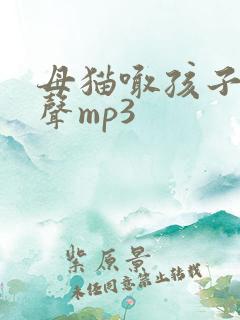 母猫喊孩子的叫声mp3