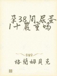 孕38周尿蛋白1十严重吗