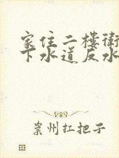 家住二楼卫生间下水道反水怎么办