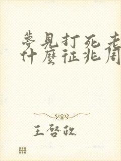 梦见打死老鼠是什么征兆周公解梦