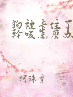 狗被卡住了一直干咳怎么办