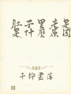 肚子里老是放屁是什么原因