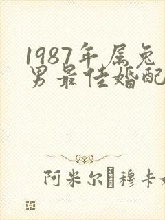 1987年属兔男最佳婚配属相