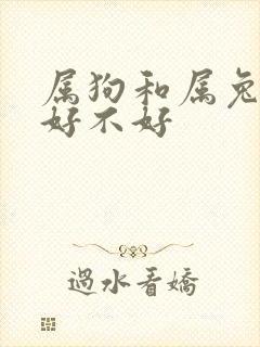 属狗和属兔婚配好不好