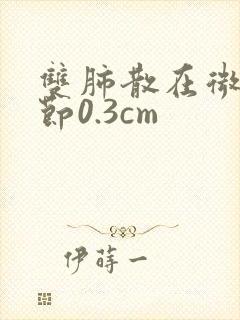 双肺散在微小结节0.3cm