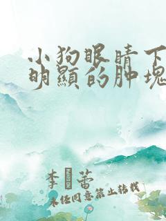 小狗眼睛下面有明显的肿块