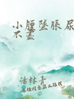 小腹坠胀尿频尿不尽