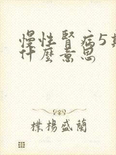 慢性肾病5期是什么意思