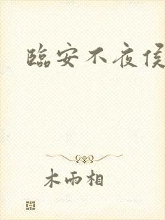 临安不夜侯小说