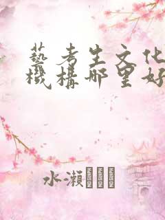 艺考生文化辅导机构哪里好