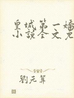 皇城第一娇凤轻小说全文免费阅读