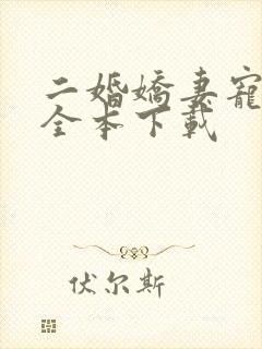 二婚娇妻宠上瘾全本下载
