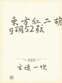 东方红二胡简谱g调52弦