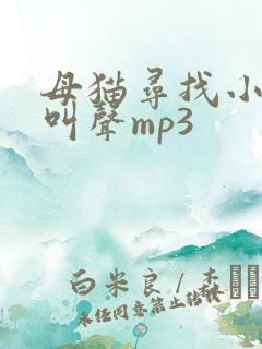 母猫寻找小猫的叫声mp3