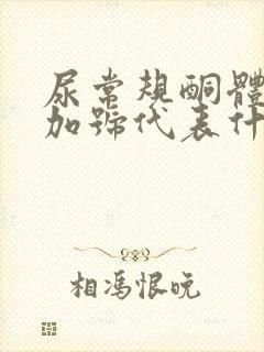 尿常规酮体两个加号代表什么