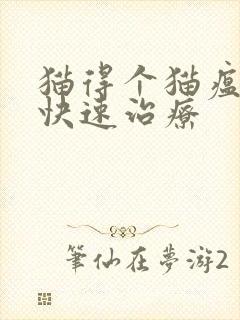 猫得个猫瘟怎么快速治疗