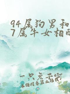 94属狗男和97属牛女相配吗