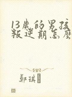 13岁的男孩子叛逆期怎么办