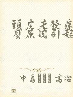 头皮老发痒是什么原因引起的