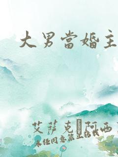 大男当婚主题曲