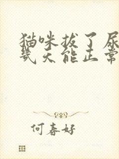 猫咪拔了尿管后几天能正常尿